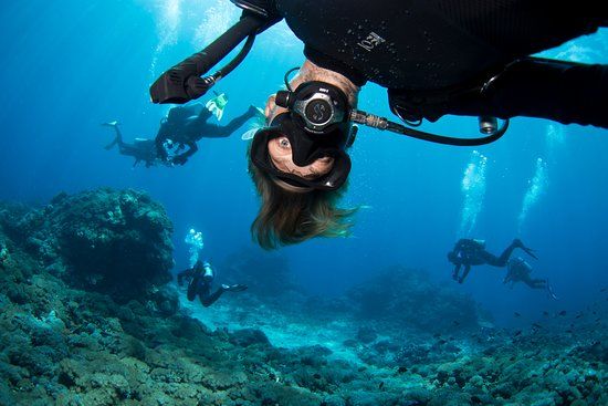 Bali Bubbles Dive Center